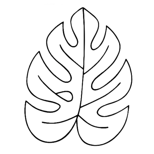 zeichnung voll ausgebildetes blatt monstera pflanze