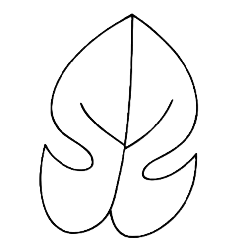 zeichnung wachsendes blatt monstera pflanze